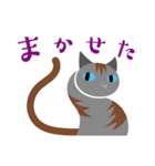 猫はシッポで語る（個別スタンプ：17）