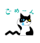 猫はシッポで語る（個別スタンプ：18）