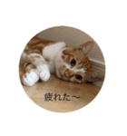 ボン癒されスタンプ癒されるよ（個別スタンプ：4）
