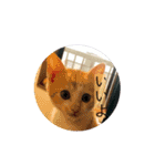 ボン癒されスタンプ癒されるよ（個別スタンプ：11）