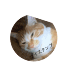 ボン癒されスタンプ癒されるよ（個別スタンプ：23）