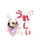 こむぎ❤️スタンプ❤️part2（個別スタンプ：2）