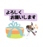 こむぎ❤️スタンプ❤️part2（個別スタンプ：3）