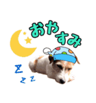 こむぎ❤️スタンプ❤️part2（個別スタンプ：10）