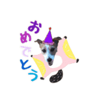 こむぎ❤️スタンプ❤️part2（個別スタンプ：14）