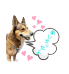 わんこスタンプワッフル（個別スタンプ：18）