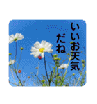 秋ですよ（個別スタンプ：1）