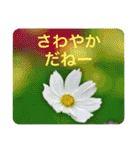 秋ですよ（個別スタンプ：17）