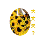 秋ですよ（個別スタンプ：39）