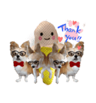 愛犬コナン(変装中)の冒険（個別スタンプ：9）
