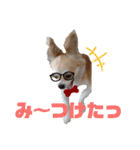愛犬コナン(変装中)の冒険（個別スタンプ：19）