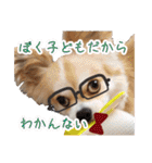 愛犬コナン(変装中)の冒険（個別スタンプ：34）