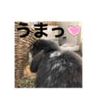 蒼空のおうちスタンプ♪③（個別スタンプ：4）