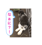 蒼空のおうちスタンプ♪③（個別スタンプ：9）