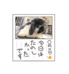 蒼空のおうちスタンプ♪③（個別スタンプ：10）