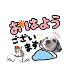 ダルメシアンパピーリンダ【BlackWhite】（個別スタンプ：2）