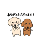 幸と小太郎(トイプードル犬)のスタンプ（個別スタンプ：1）