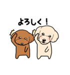 幸と小太郎(トイプードル犬)のスタンプ（個別スタンプ：2）