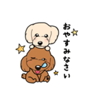 幸と小太郎(トイプードル犬)のスタンプ（個別スタンプ：3）