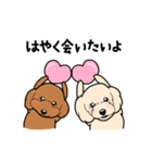 幸と小太郎(トイプードル犬)のスタンプ（個別スタンプ：4）