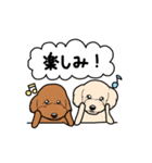幸と小太郎(トイプードル犬)のスタンプ（個別スタンプ：5）
