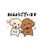 幸と小太郎(トイプードル犬)のスタンプ（個別スタンプ：6）