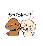 幸と小太郎(トイプードル犬)のスタンプ（個別スタンプ：8）