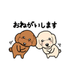 幸と小太郎(トイプードル犬)のスタンプ（個別スタンプ：9）