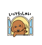 幸と小太郎(トイプードル犬)のスタンプ（個別スタンプ：11）