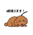 幸と小太郎(トイプードル犬)のスタンプ（個別スタンプ：16）