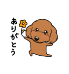 幸と小太郎(トイプードル犬)のスタンプ（個別スタンプ：17）