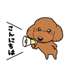 幸と小太郎(トイプードル犬)のスタンプ（個別スタンプ：18）