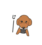 幸と小太郎(トイプードル犬)のスタンプ（個別スタンプ：19）