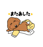 幸と小太郎(トイプードル犬)のスタンプ（個別スタンプ：21）