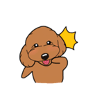 幸と小太郎(トイプードル犬)のスタンプ（個別スタンプ：24）