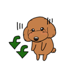 幸と小太郎(トイプードル犬)のスタンプ（個別スタンプ：25）
