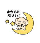 幸と小太郎(トイプードル犬)のスタンプ（個別スタンプ：29）