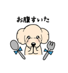 幸と小太郎(トイプードル犬)のスタンプ（個別スタンプ：30）