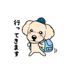 幸と小太郎(トイプードル犬)のスタンプ（個別スタンプ：31）