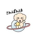 幸と小太郎(トイプードル犬)のスタンプ（個別スタンプ：32）