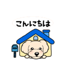 幸と小太郎(トイプードル犬)のスタンプ（個別スタンプ：33）