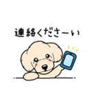 幸と小太郎(トイプードル犬)のスタンプ（個別スタンプ：38）