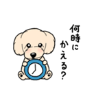 幸と小太郎(トイプードル犬)のスタンプ（個別スタンプ：39）