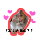 ひまにぃスタンプ（個別スタンプ：4）