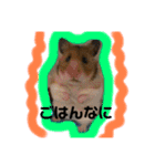 ひまにぃスタンプ（個別スタンプ：5）