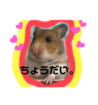ひまにぃスタンプ（個別スタンプ：10）
