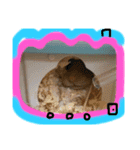 ひまにぃスタンプ（個別スタンプ：11）