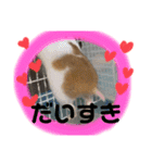 ひまにぃスタンプ（個別スタンプ：14）