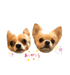 そら＆チャーリー（個別スタンプ：1）