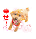 赤いりぼんの輪を広げたいワン11（個別スタンプ：4）